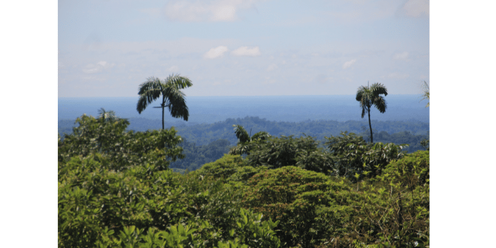 Orito - Amazonas