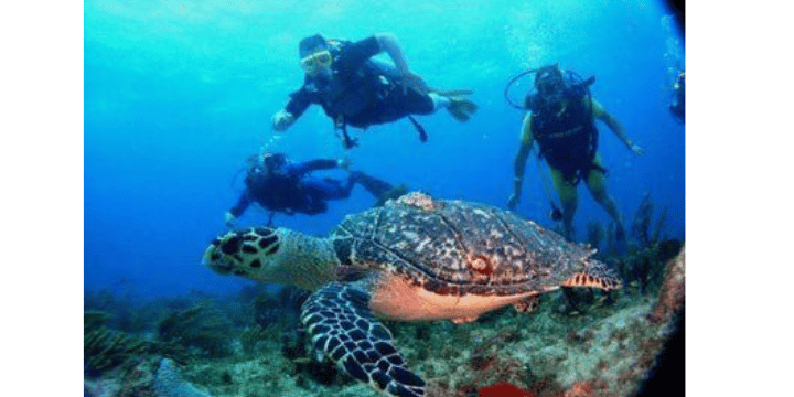 Capurganá - Scuba Diving